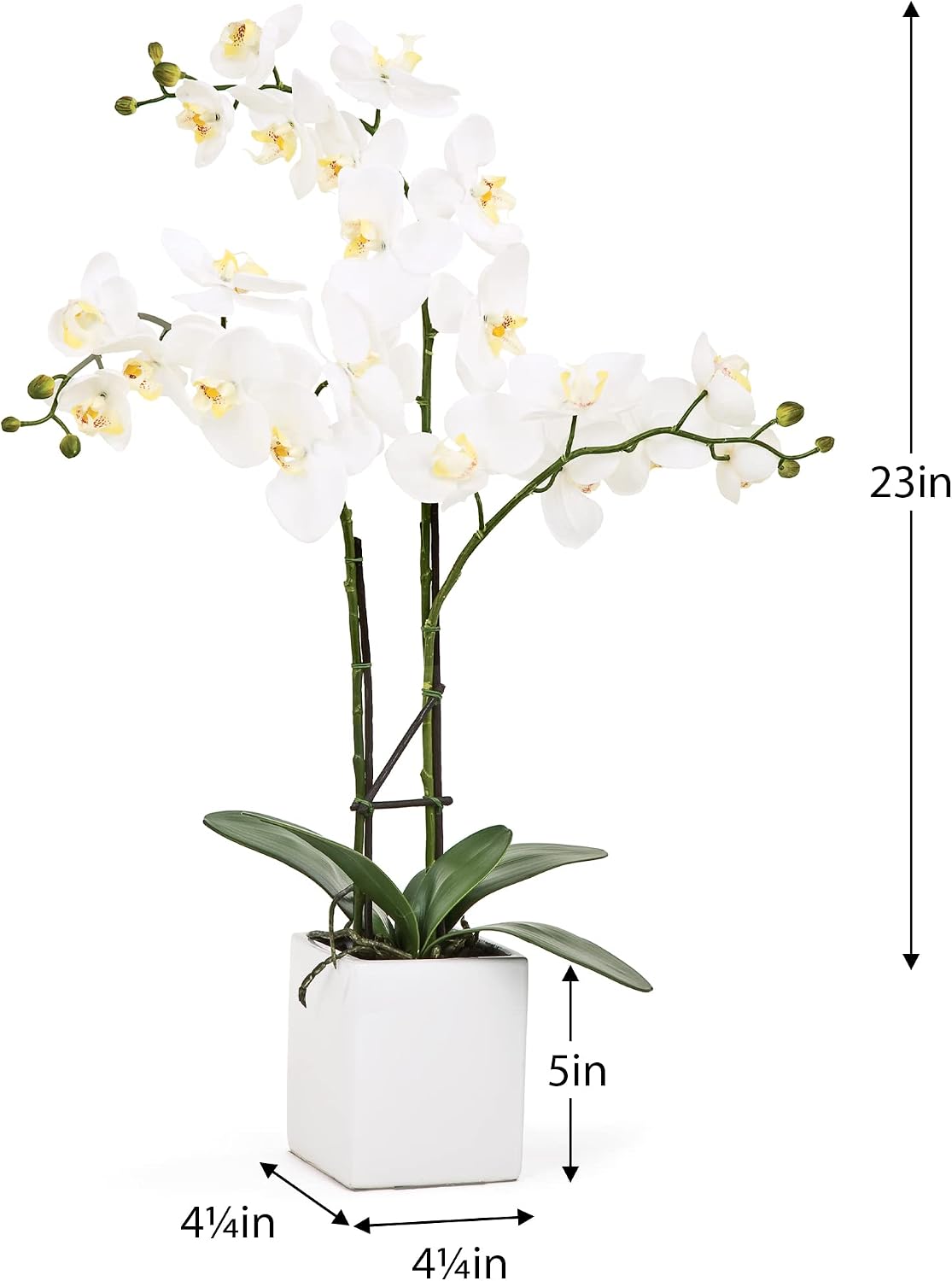 Torre & Tagus Faux White Orchids 3 Stems with Potted Square Ceramic Planter for Home Decoration in Living Room Open Shelving Credenza Dining Room Tabletop Centerpiece, White, 23-inch Height
