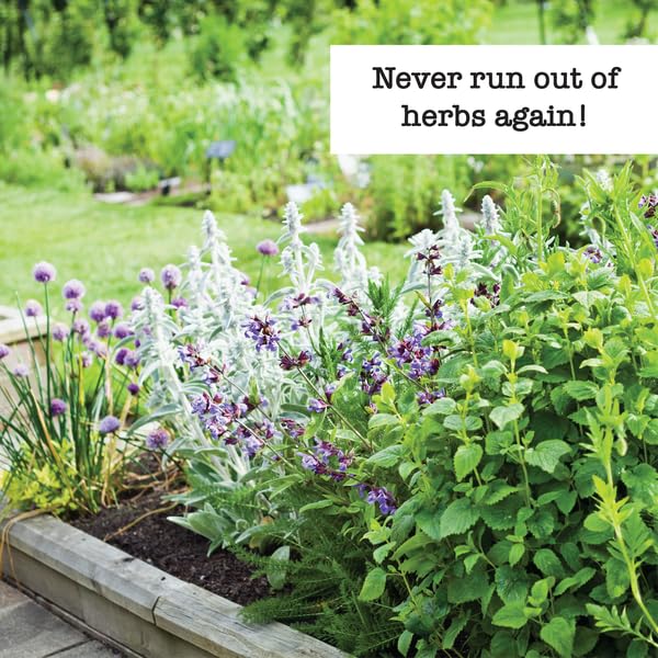 Image of Ferry-Morse Herb Seed Kit - Organic, High Germination Rate, GMO Free - 10 Pack
