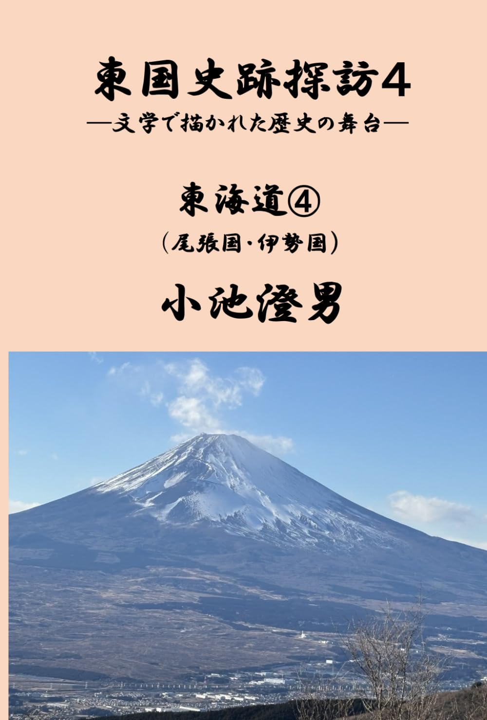 東国史跡探訪4: ー文学で描かれた歴史の舞台ー (トウゴクシセキタンボウ)