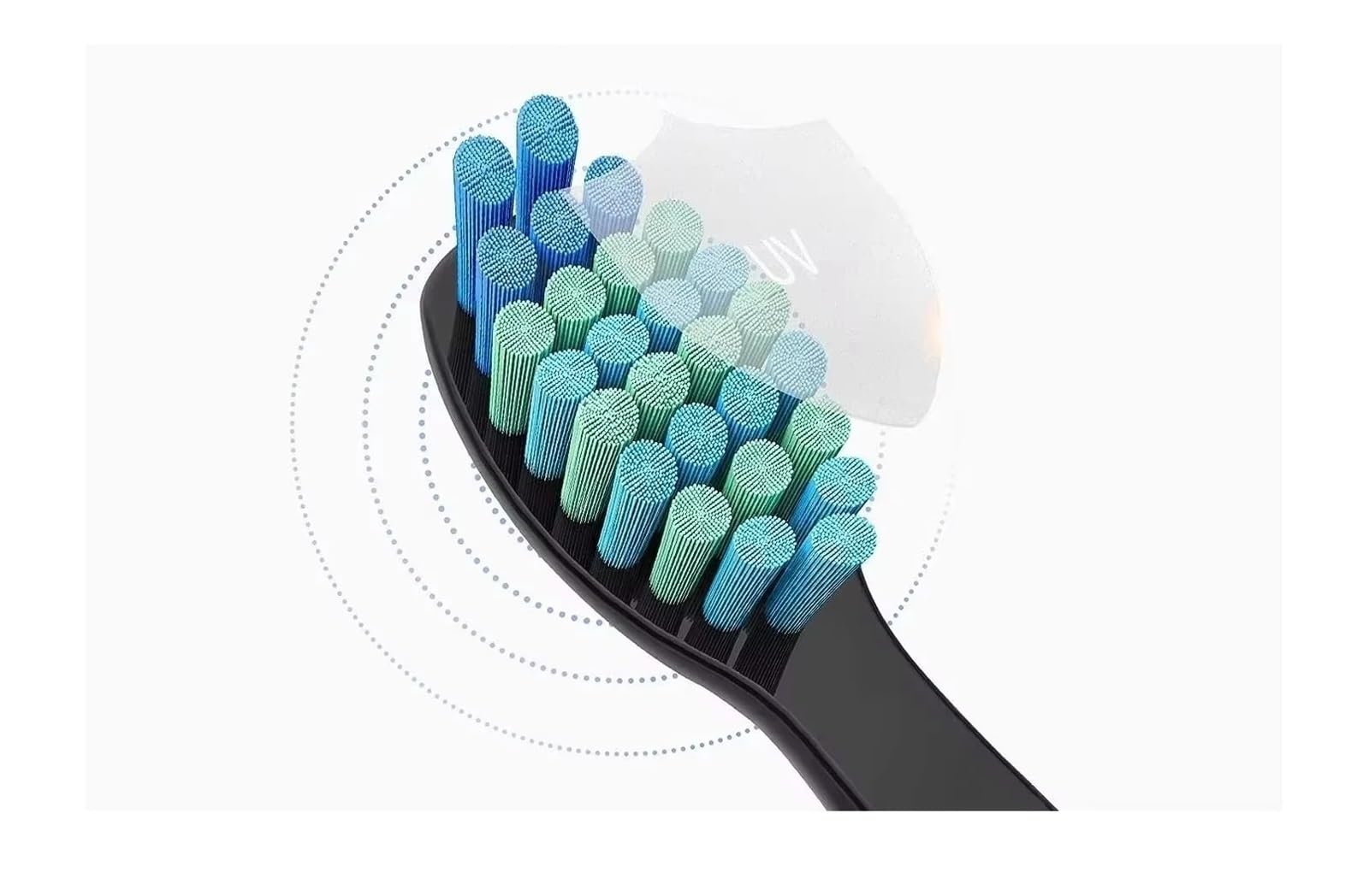 Compatible con cabezales de cepillo repuesto 3 a 10 piezas for Seago Adecuado for cepillos dientes eléctricos Fairywill Recambios cerdas for limpieza dental(10 pcs black)