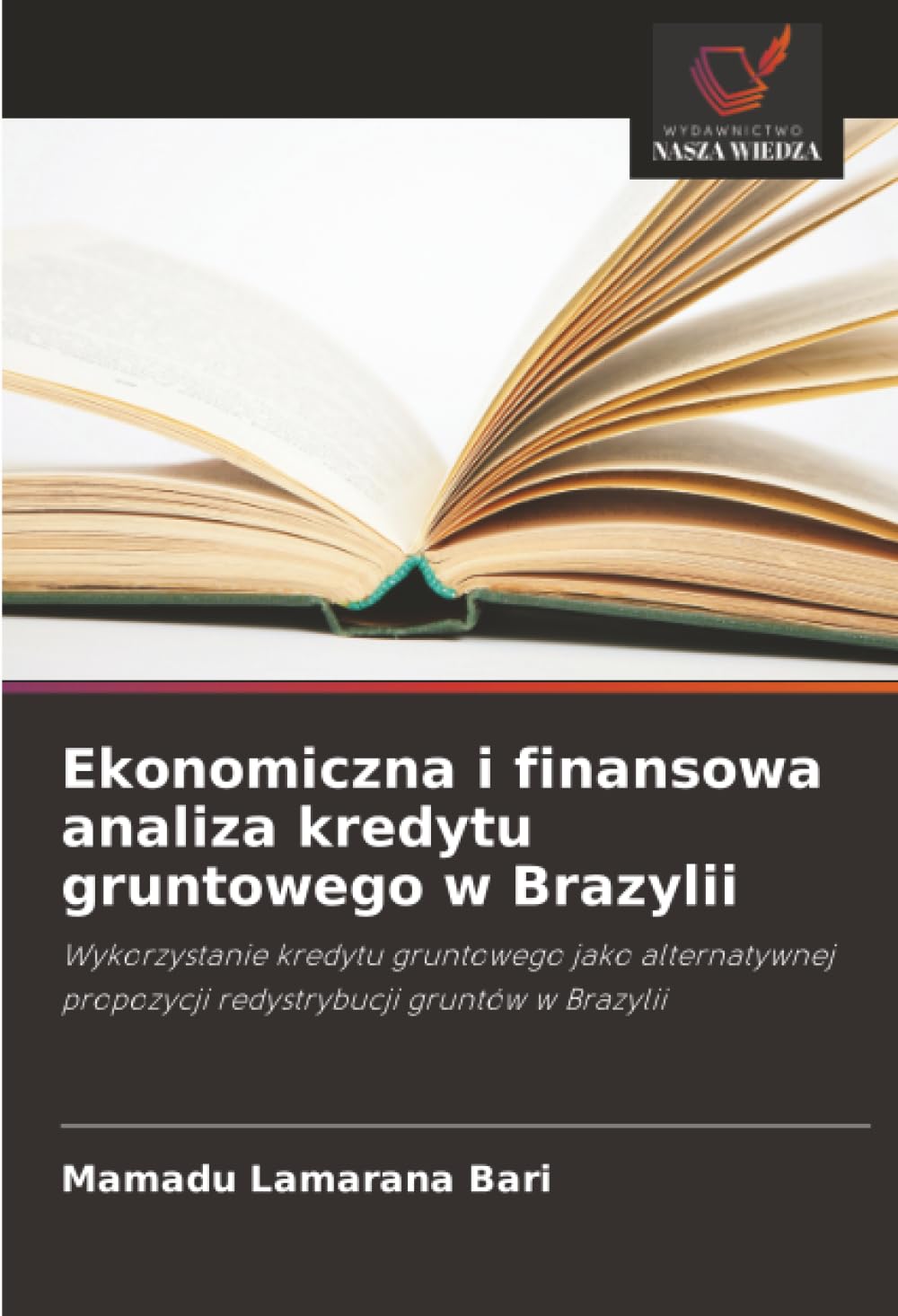 Ekonomiczna i finansowa analiza kredytu gruntowego w Brazylii: Wykorzystanie kredytu gruntowego jako alternatywnej propozycji redystrybucji gruntów w Brazylii