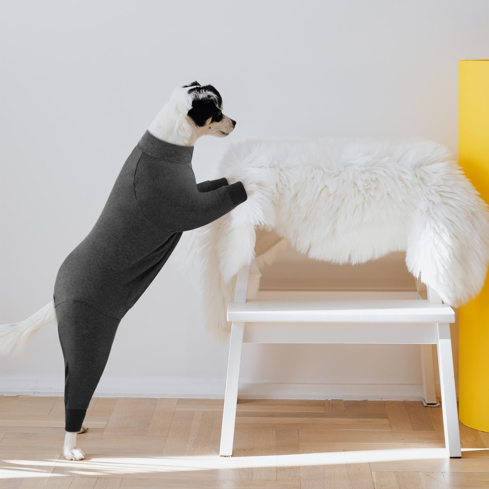 CITÉTOILE Combinaison de Récupération pour Grande Chiens Chats, Chemise à Manches Longues pour Animaux de la Protection des Plaies, Alternative au Collier Électronique, Gris, 2XL