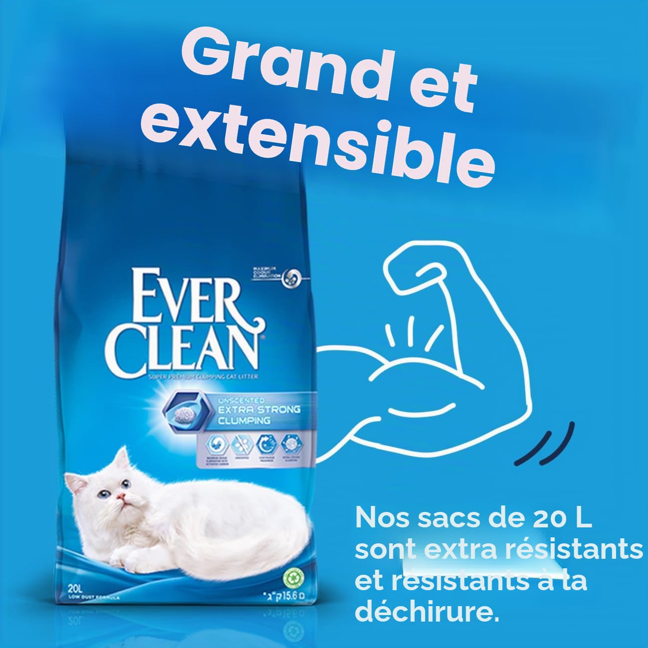 Ever Clean Litière pour Chat, Extra Fort agglomérant, parfumée, 20L