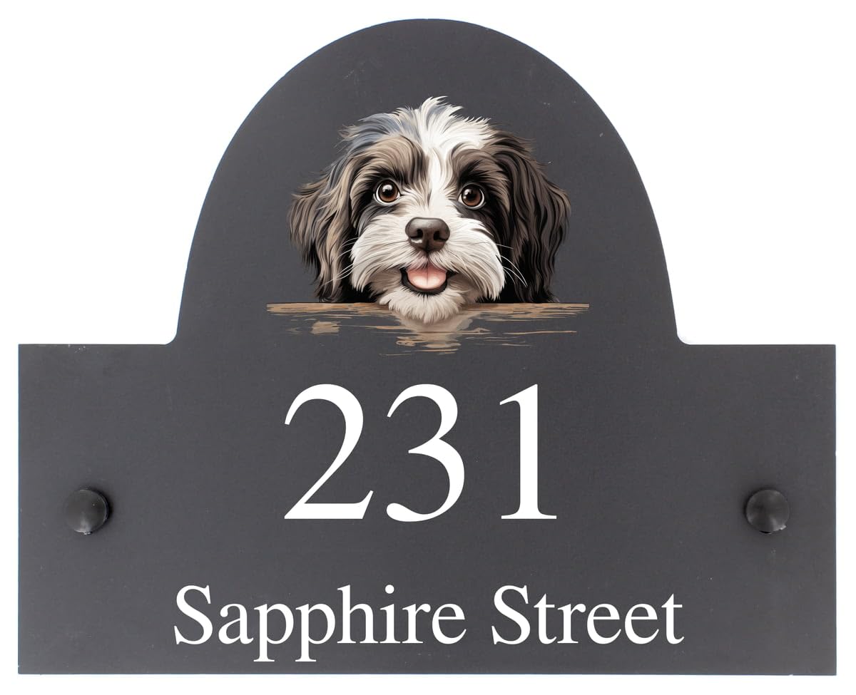 Targa personalizzabile con nome o numero civico in ardesia con cane Havanese, 25 x 20 cm