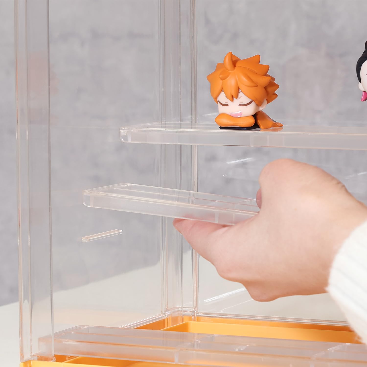 Amazon.co.jp: 不二貿易 コレクションケース アクリルケース