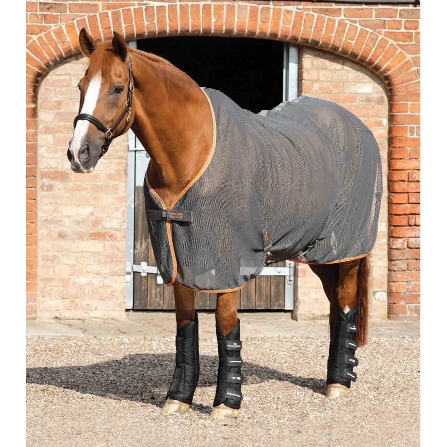 Premier Equine Botas de Transporte para Caballos Travel-Tech