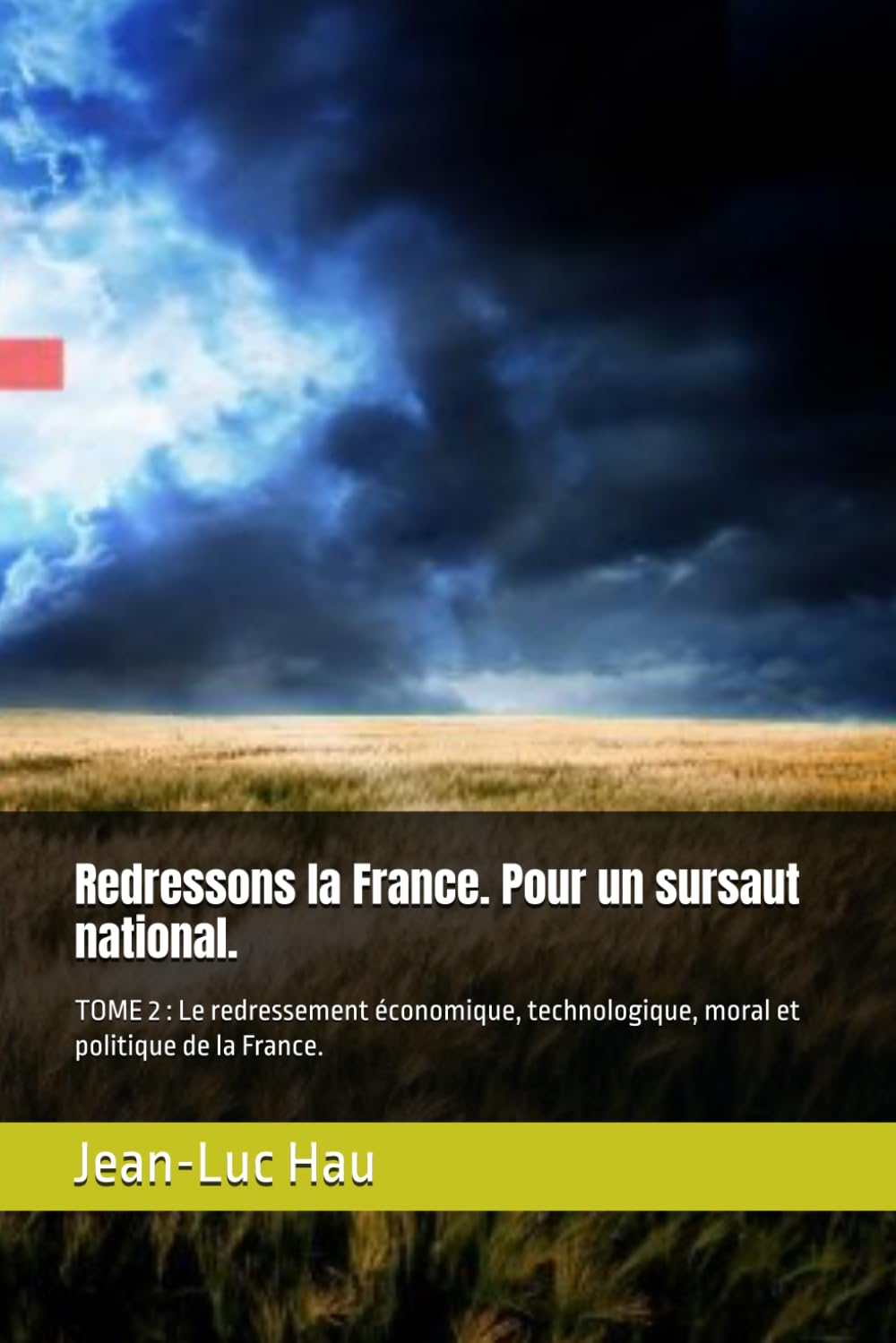 Redressons la France. Pour un sursaut national.: TOME 2 : Le redressement économique, technologique, moral et politique de la France. (Politique Française.)