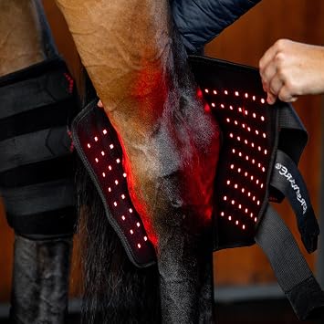 Horseware Ireland LED Red Light Therapy Right Hock Boot Black