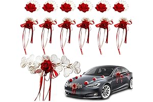 OLizee® 13Pcs Wedding Car Decorations Set