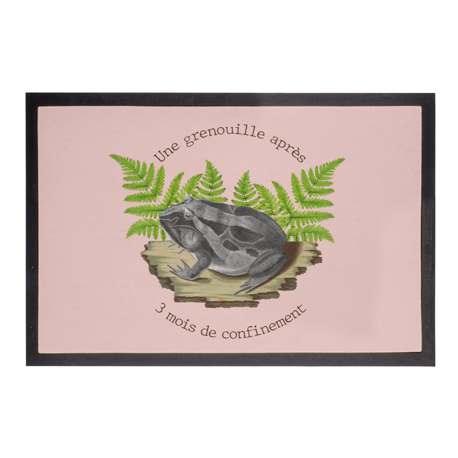 Tapis d'entrée rose grenouille pour égayer votre décoration de couloir