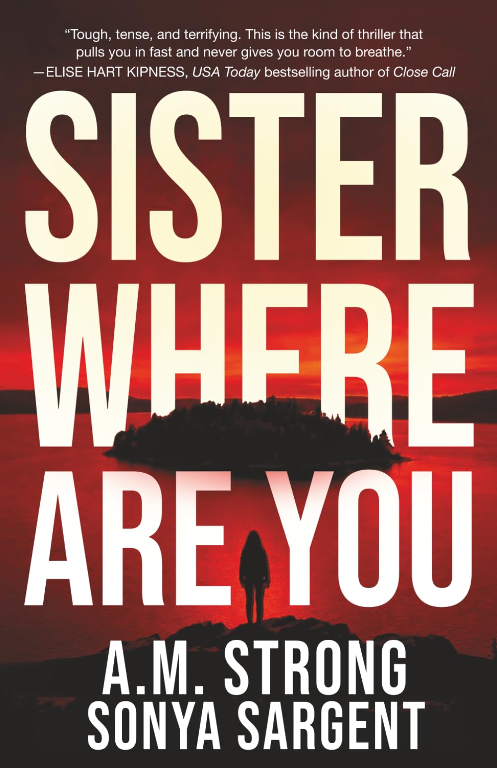 Sister Where Are You: 1 (Patterson Blake FBI Mystery Thrillers)