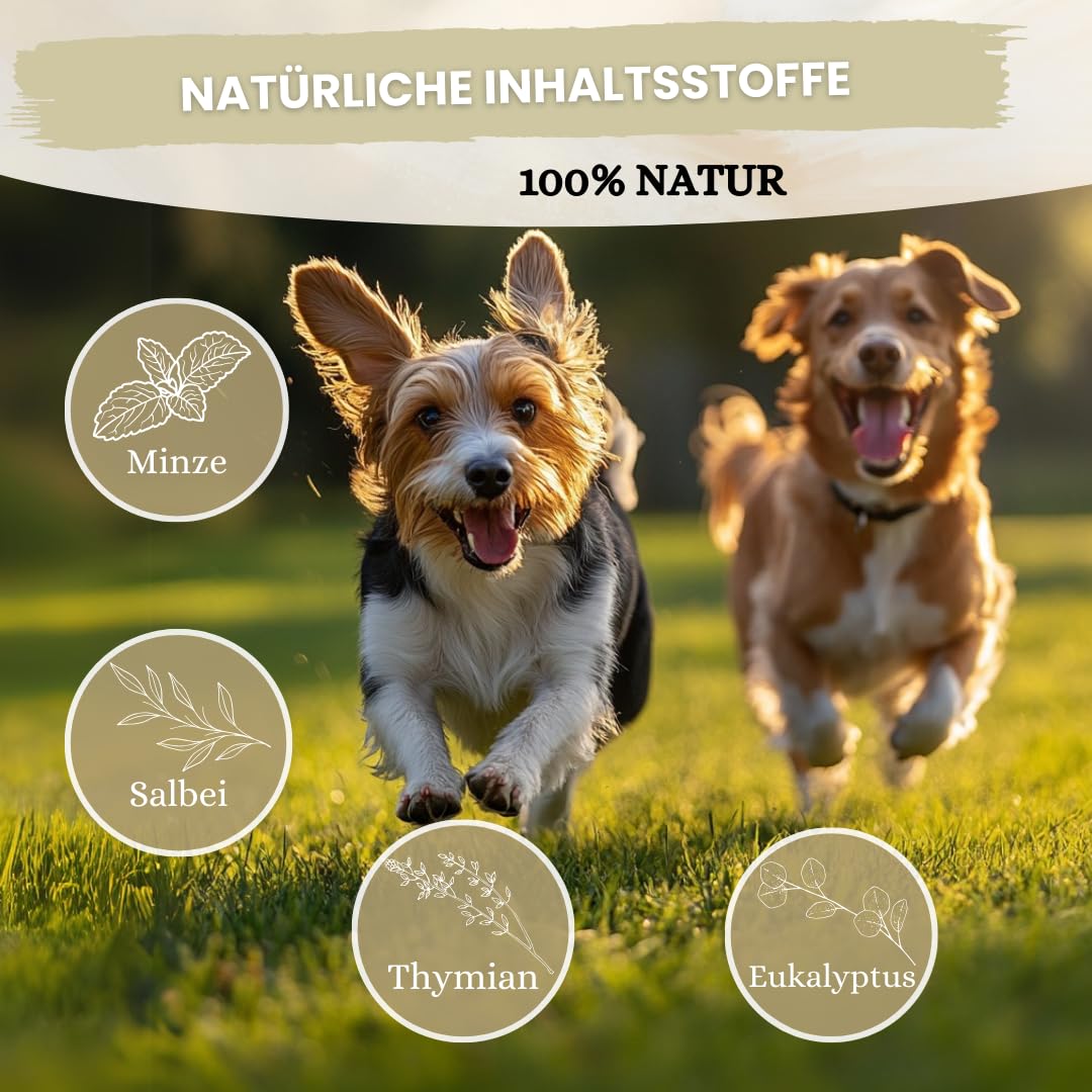 Dentalspray für Hunde & Katzen -150 ml - Zahnspray – 100% natürlich, effektiv gegen Zahnstein, Mundgeruch, Plaque - zur Zahnreinigung & Zahnsteinentfernung, frischer Atem - Zahnpflege Hund