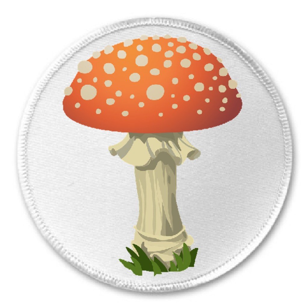 Mushroom - 3