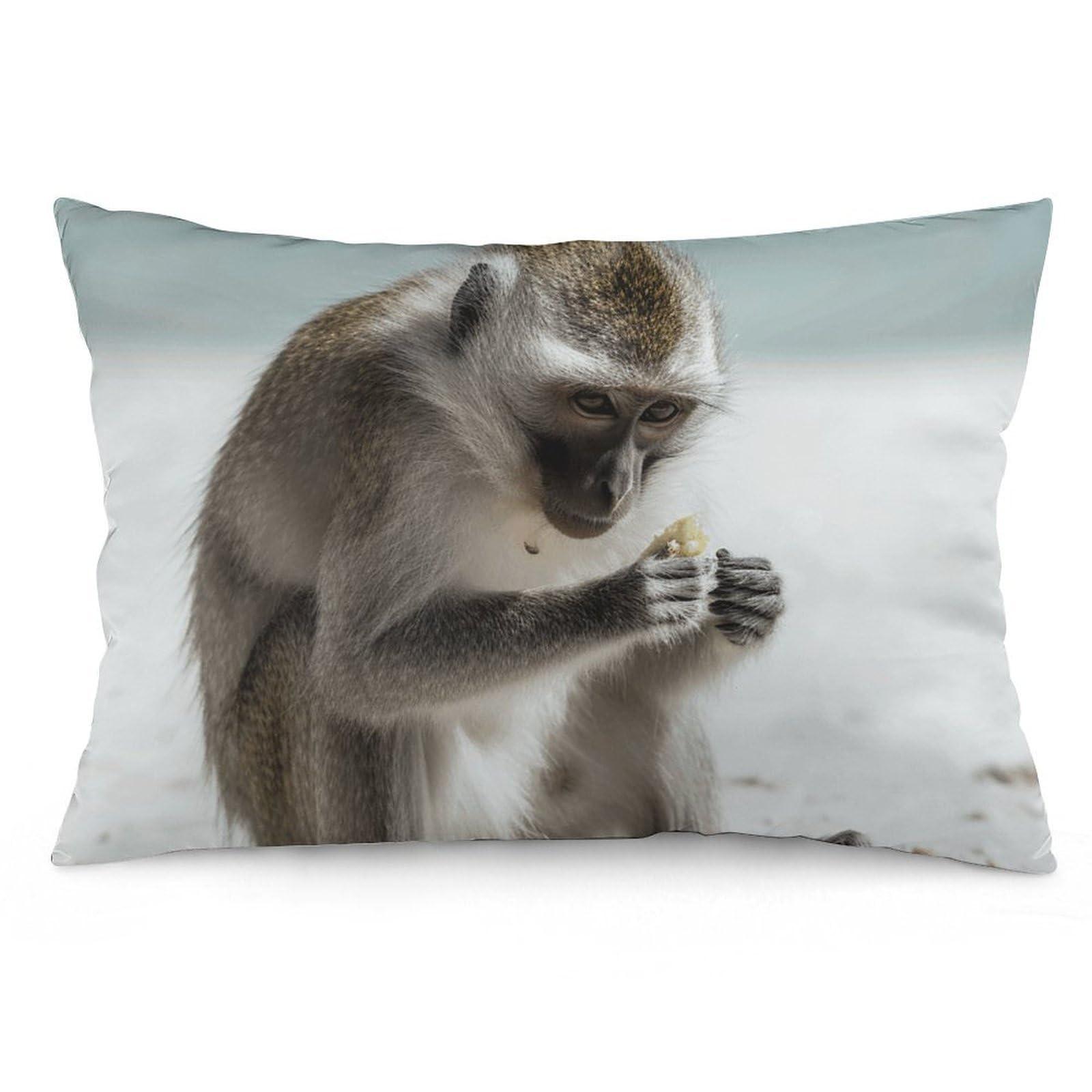 NTVOWPZO 2 Pack Decoration Throw Pillow Covers 20"x30" Pillowcases Covers Monkey on The Ground Pillowcases Modern Farmhouse Home Decor Sofa Cushions Covers for Couch Bed Living Room