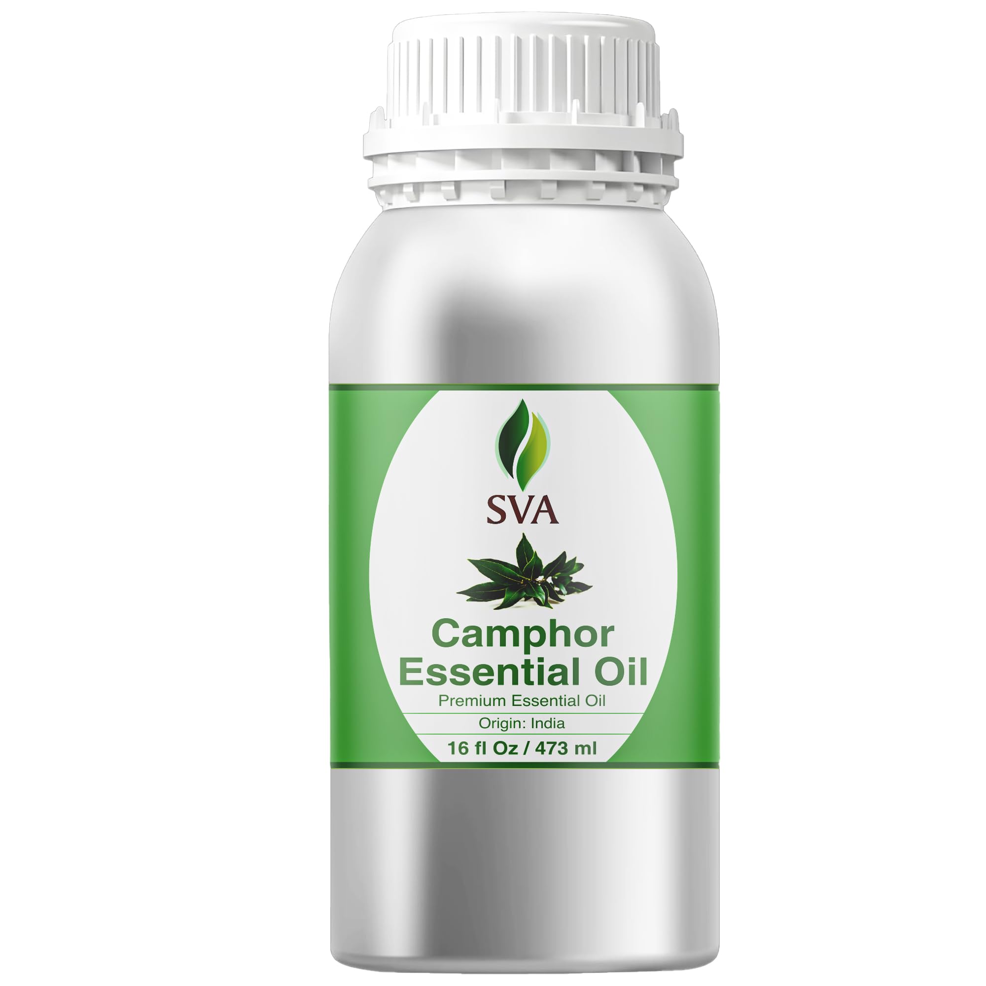 SVA Camphor Essential Oil, Huge Bottle, Large Size, 16 Fl Oz (473 ml)