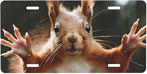 Miniatura 21 de Placa de matrícula retro Daisy, placa de matrícula delantera decorativa para el auto, placas de matrícula novedosas de aluminio, etiqueta de