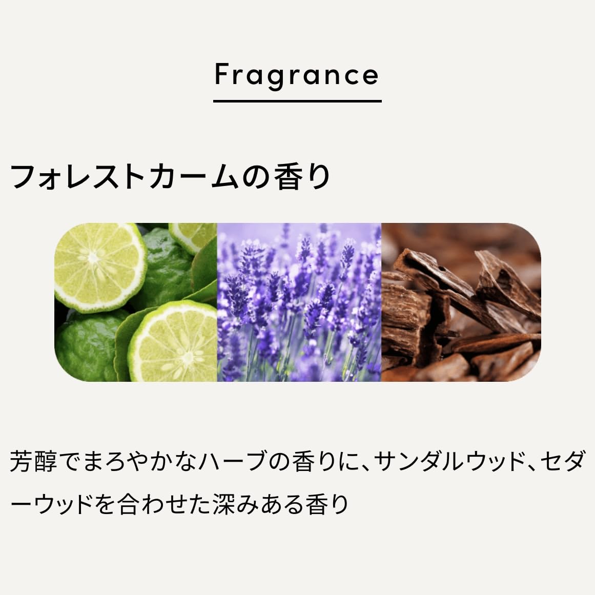 Amazon | 【人気モデルが紹介!】MQURE エムキュア 水素トリートメント