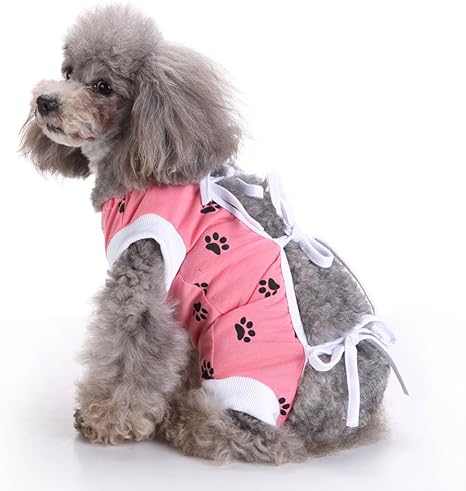 Small breed dog clothes Clearance