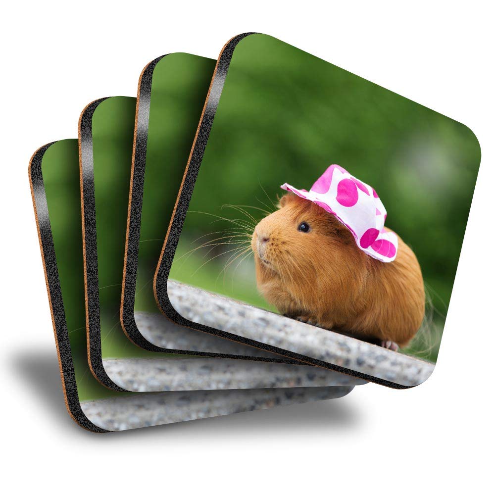 Destination Vinyl ltd Great Coasters (Set of 4) Square - Sweet Guinea Pig Lady Female Drink Glossy Coasters/Tabletop Protection for Any Table Type #24494