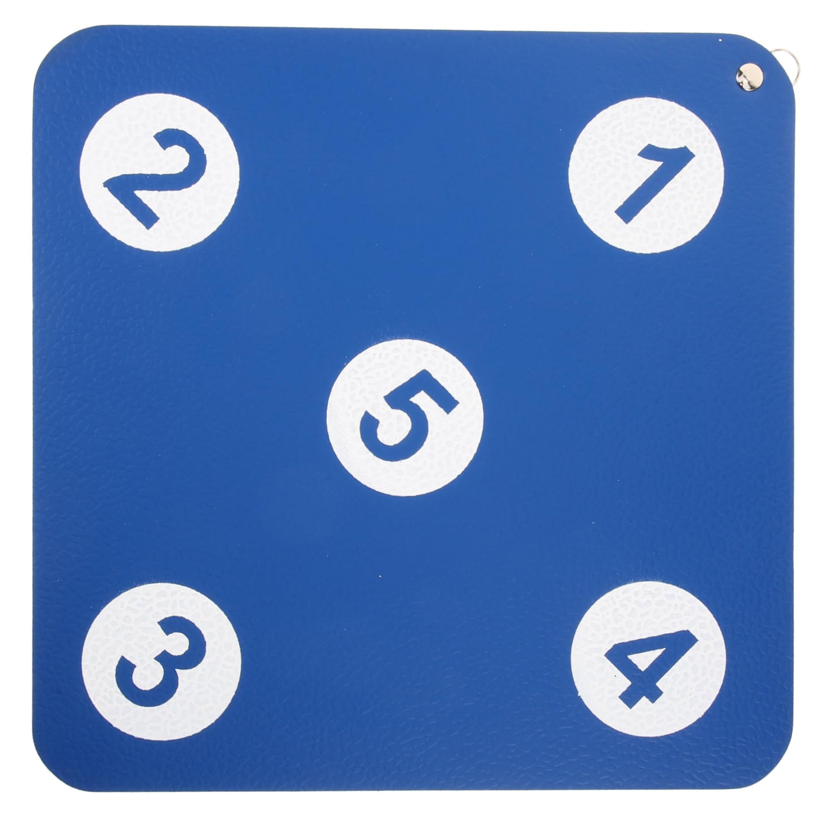 Kisangel Fencing Equipment Double-Sided Sword Target Sturdy Weatherproof for Indoor/Outdoor Training