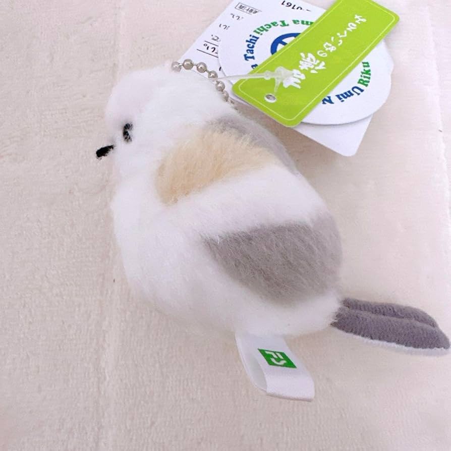 新品 WHAT WE WANT shimaenaga otoshi www Check out the new shimaenaga items with new arrivals come