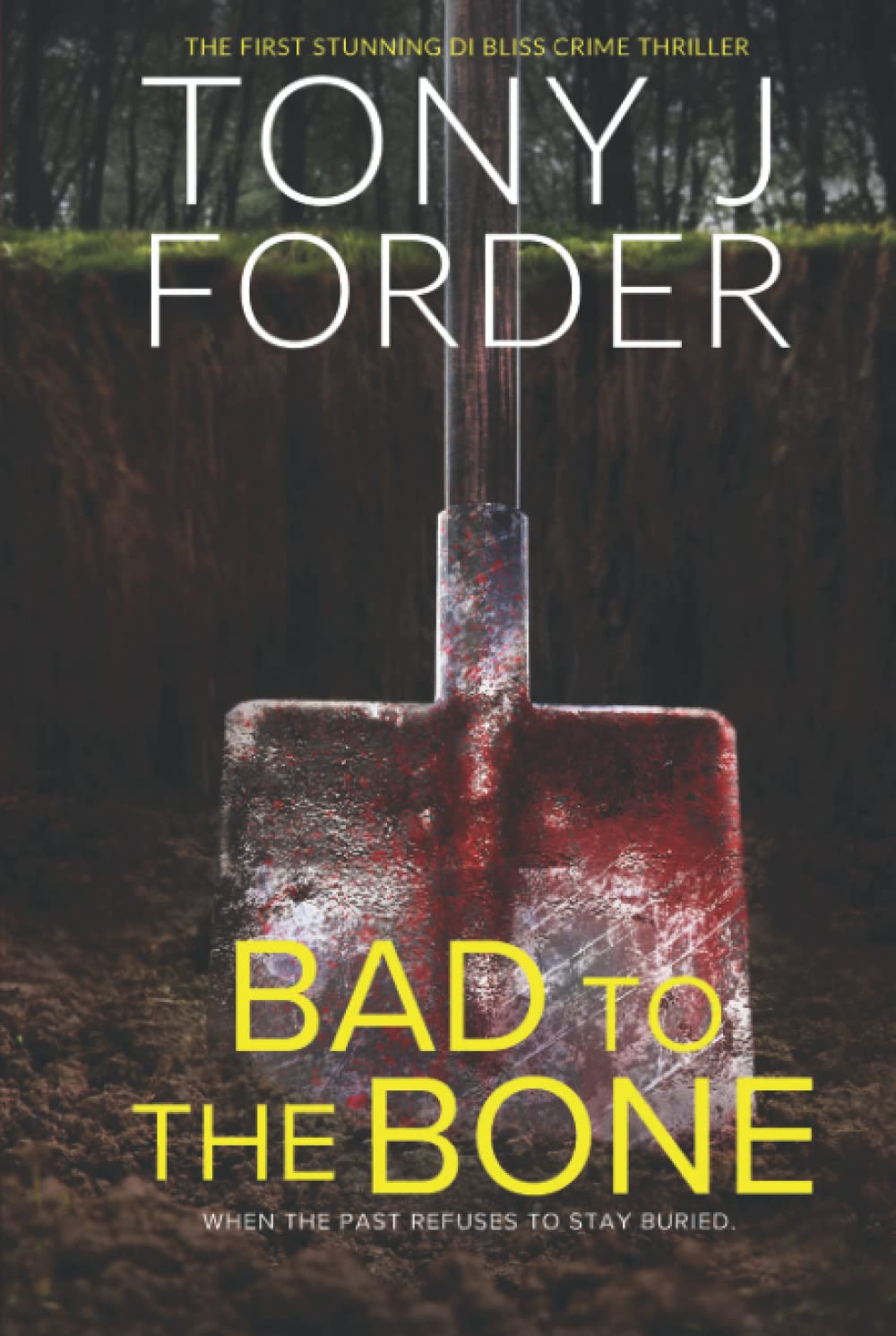 Bad To The Bone (The DI Jimmy Bliss Crime Series)