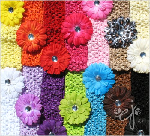 Cute Set of 14 2.25 Inch Small 'Ema Jane' Boutique Quality Gerber Daisy Hair Clip Bows with 14 Matching 'Ema Jane' Super