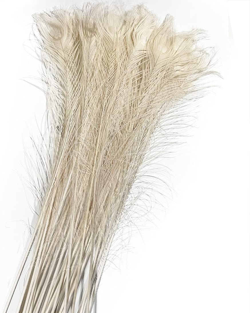 Peacock Feathers Beige 30-35 inches Long (20 pcs per Bundle)