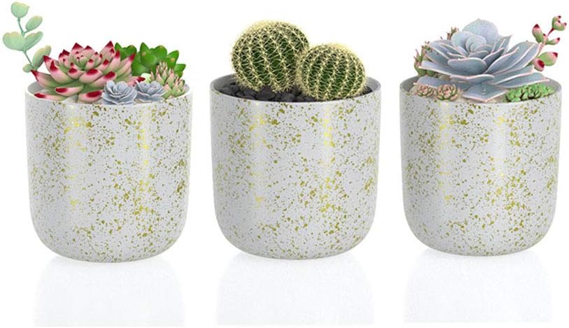 Mini Plant Pot Planter Indoor - Pack 3 Mini Succulent Pot Ceramic Effect Resin Planter Pot Speckled Golden for Plant Nursery Flower Cactus Home Office Decorative Collection(S+S+S)