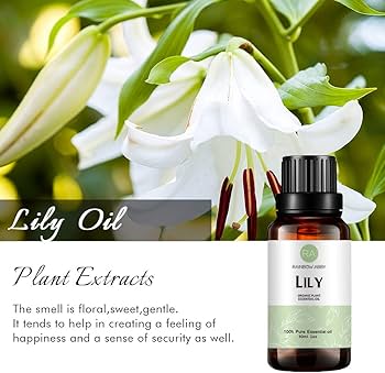 Amazon.com: Lily Essential Oil (30ML), 100% Pure Natural Organic Amazon.com: Lily Essential Oil (30ML), 100% Pure Natural Organic