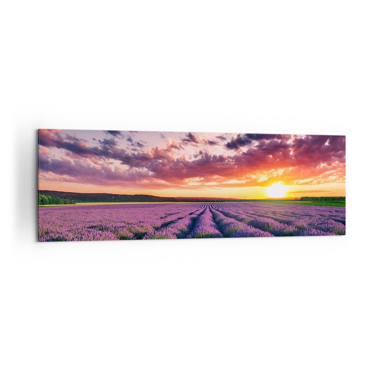 Cuadro Decorativo 160x50cm Moderno Panorámico Botánica Paisajes - 3816 | Lavanda montañas Campo Cuadro sobre Lienzo Grande Arte mural Decoración del Hogar Salón Dormitorio Oficina Cuadros de Pared