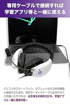 打首獄門同好会　ヘッドホン　新品　未使用　未開封　数量限定品　受注生産　イヤホン 打首獄門同好会 ヘッドホン 新品 未使用 未開封 数量限定品 受注