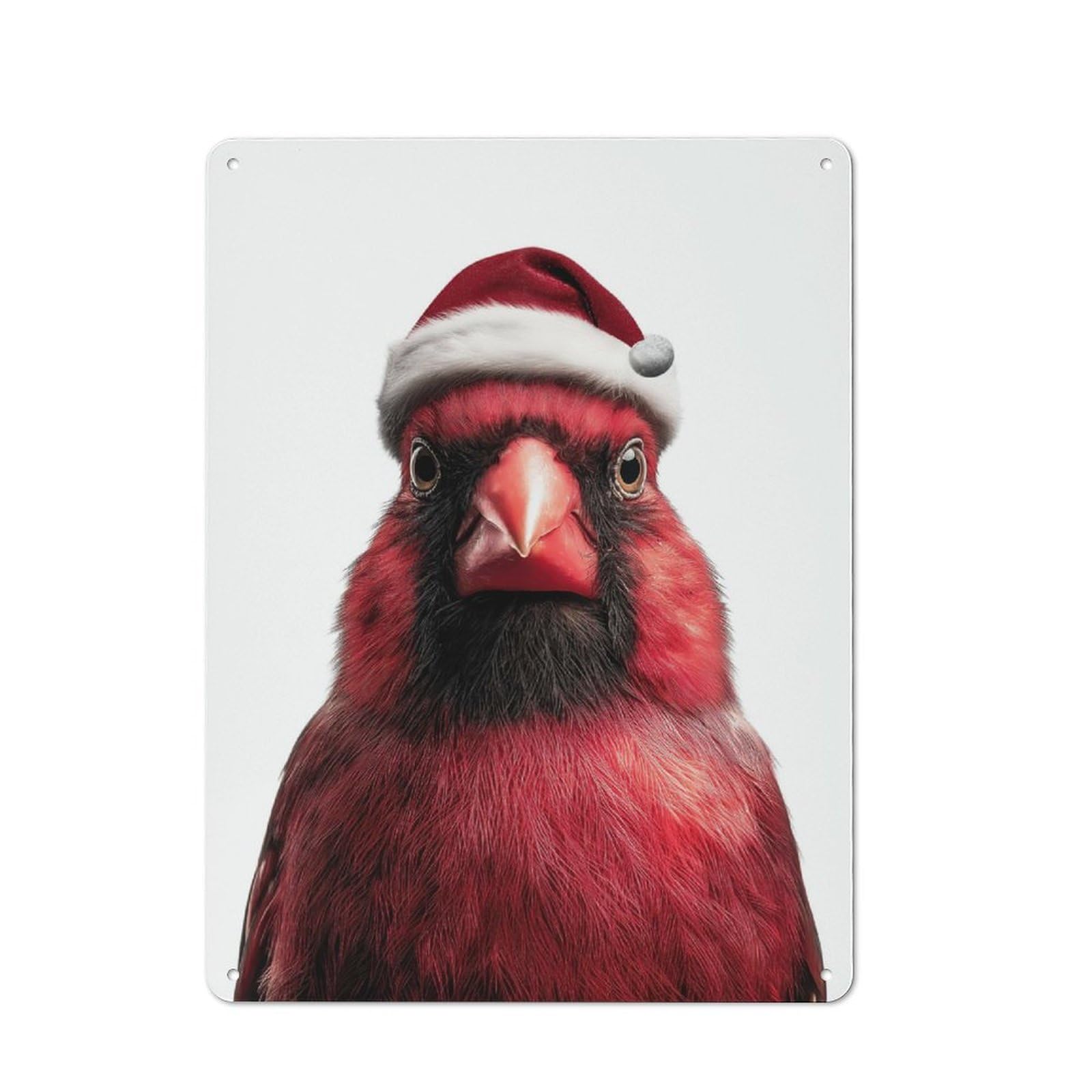 Junmoney Red Cardinal Bird Wearing Santa Hat Simple Retro Tin Sign 40X30cm, Office Wall Decor For Hobby Room, Office, Lounge Or Living Room