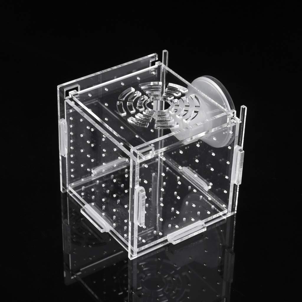 NEWFT Aquarium Breeder Box for Fish for Breeding Incubator Hatchery Clear Acrylic Divider for Fish 8x8