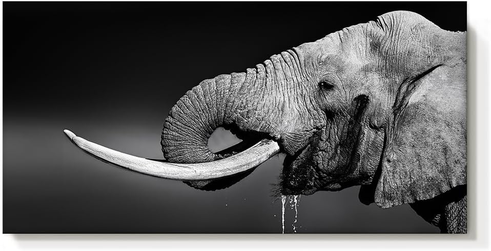 cozy country elephant wall art Wildlife picture: black animal artwork white tusk canvas prints ivory safari nursery wall decor for office 40" x 20"