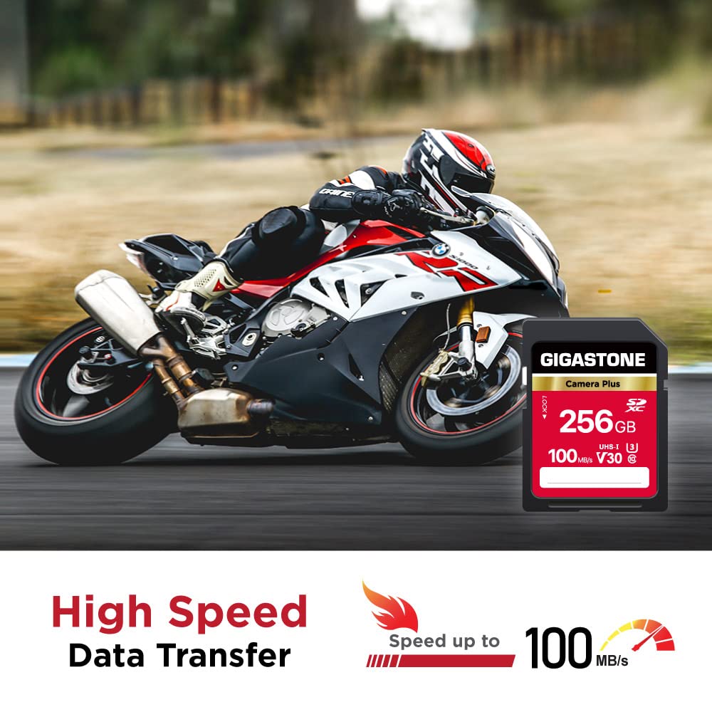GIGASTONE Scheda di Memoria SDXC 256 GB, Camera Plus, Velocità 100 MB/s per Fotocamera Canon Sony Panasonic Kodak Olympus, V30 U3 UHS-I Classe 10 per 4K UHD Video, con 1 Mini Custodia