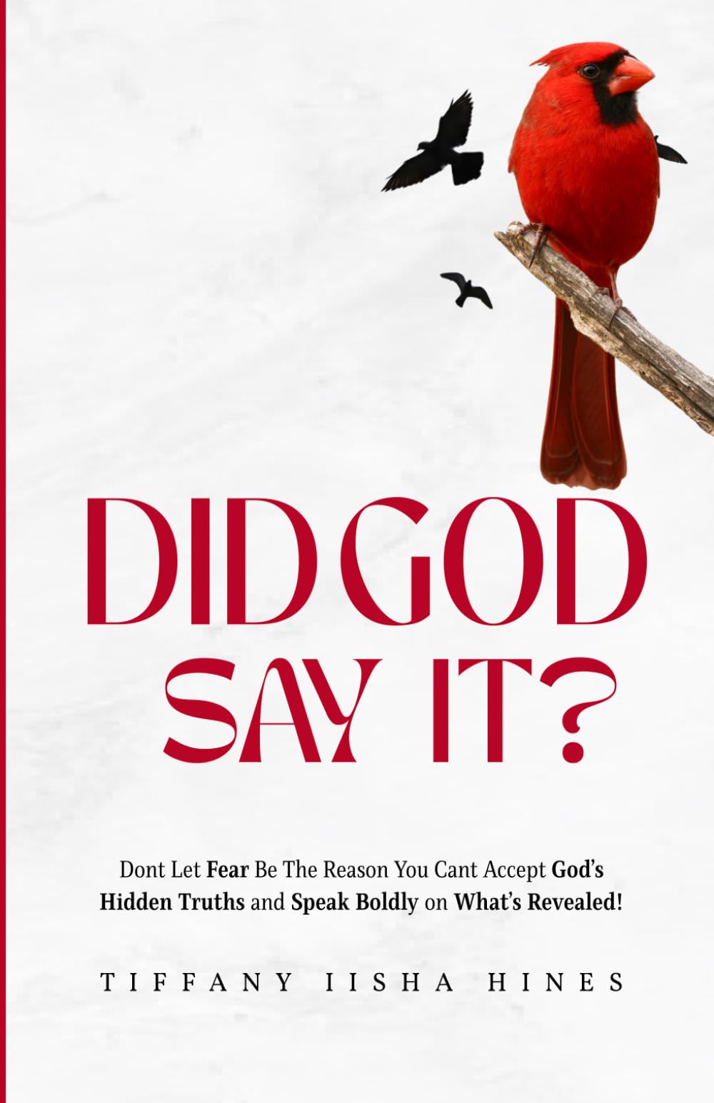 Did God Say It?: Don't Let Fear Be the Reason You Can't Accept God’s Hidden Truths and Speak Boldly on What’s Revealed!