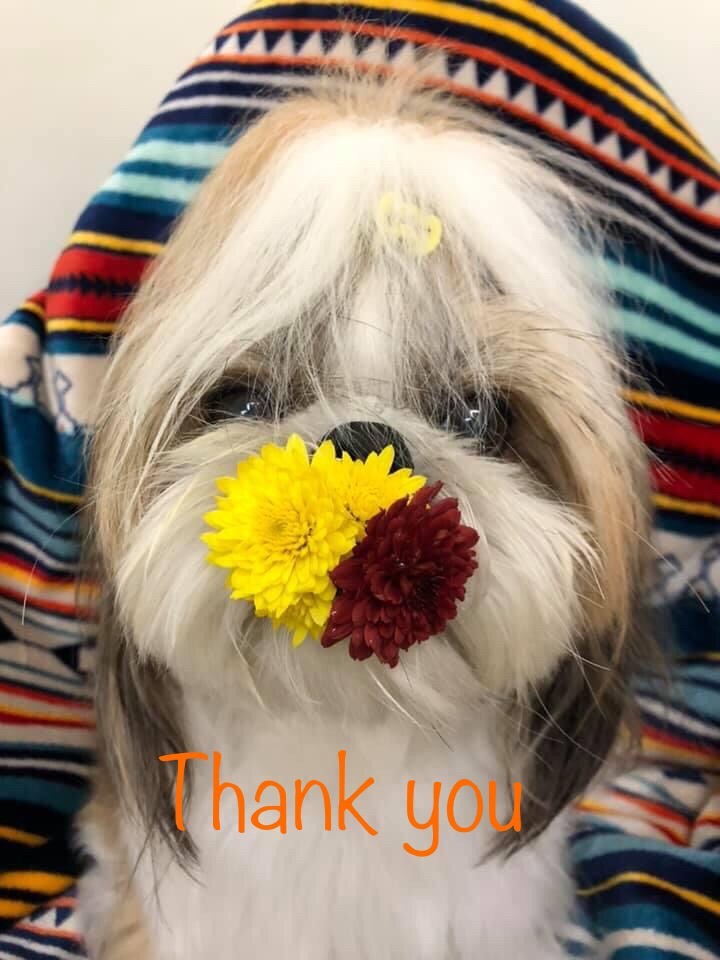 it's a 5 stars if it has more description. The color is fine