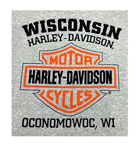 Harley-Davidson Men's Bar & Shield Logo Pullover Hooded Sweatshirt, Gray (L) #TOP1