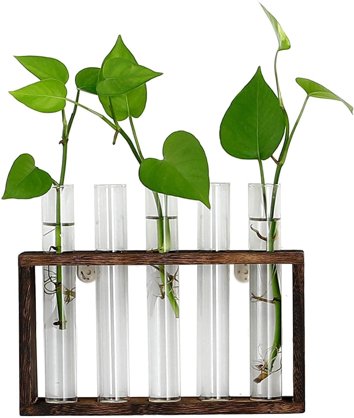 XXXFLOWER Plant Terrarium with Wooden Stand, Air Planter Bulb Glass Vase Metal Swivel Holder Retro Tabletop for Hydroponics Home Garden Office Decoration