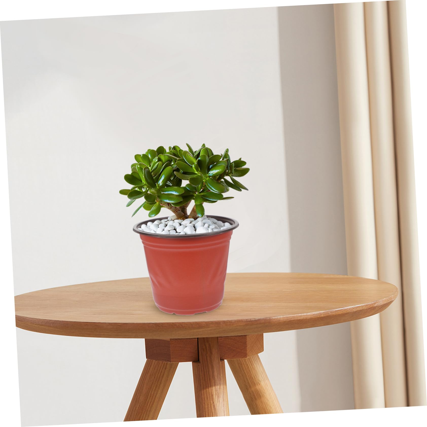 Pots de Fleurs en PP Bicolore 4.65 Pouces Lot de 50 pour Jardinage et Plantes Succulentes Réutilisables