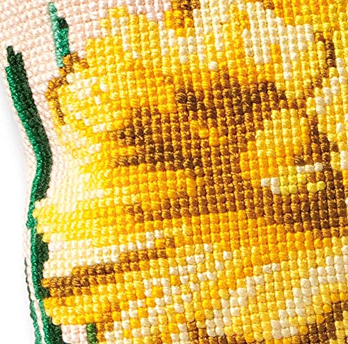 Thea Gouverneur - Kit Punto Croce Contato Cuscino