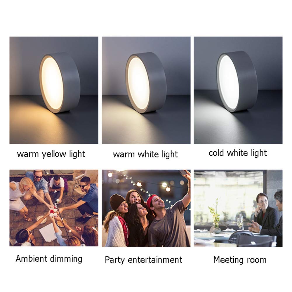Einbaustrahler aus Aluminium, dünn und diskret, zur Oberflächenmontage, mit Lampenschirm aus Acryl, 15 W, 2700 K/3000 K/6000 K, ideal zum Aufwerten von Bildern oder von Gemälden, warmgelb
