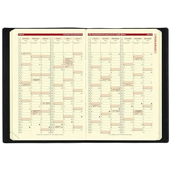 Amazon.co.jp: クオバディス 【2025年版】 手帳 ダイアリー