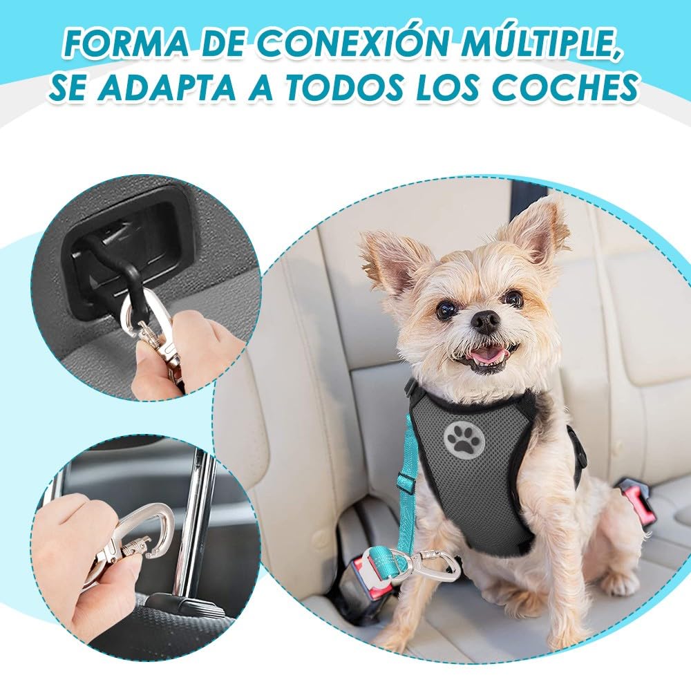 SlowTon Paquete de 2 Cinturones de Seguridad para Perros, Correa de Coche Amortiguador elástico Ajustable, Nailon de Alta Resistencia, Correa de Seguridad Reflectante para Mascotas