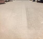 Review Image by Good Reviewer Good Reviewer