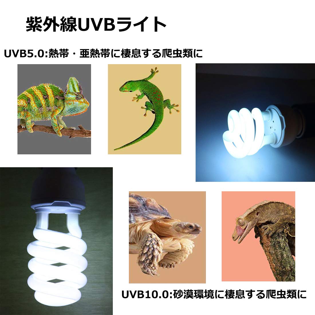 Amazon.co.jp: ShiawaseforU UVB 10.0 爬虫類ライト 紫外線ライト