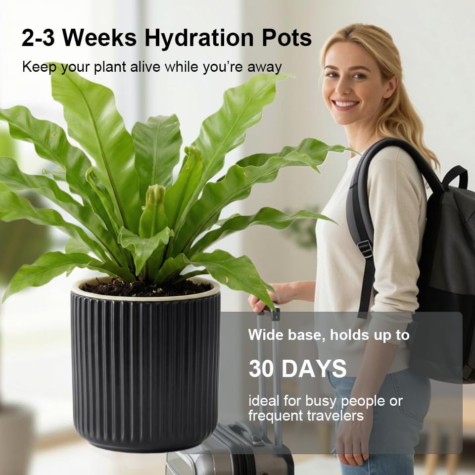 Pot à orchidée avec drainage pour éviter le pourrissement - 4