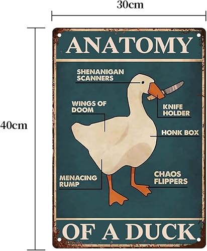 Vista 2 de Duck Knowledge - Cartel de metal de anatomía de un pato, divertido póster de caza, cabaña, cafetería, restaurante, cocina, sala de estar, baño