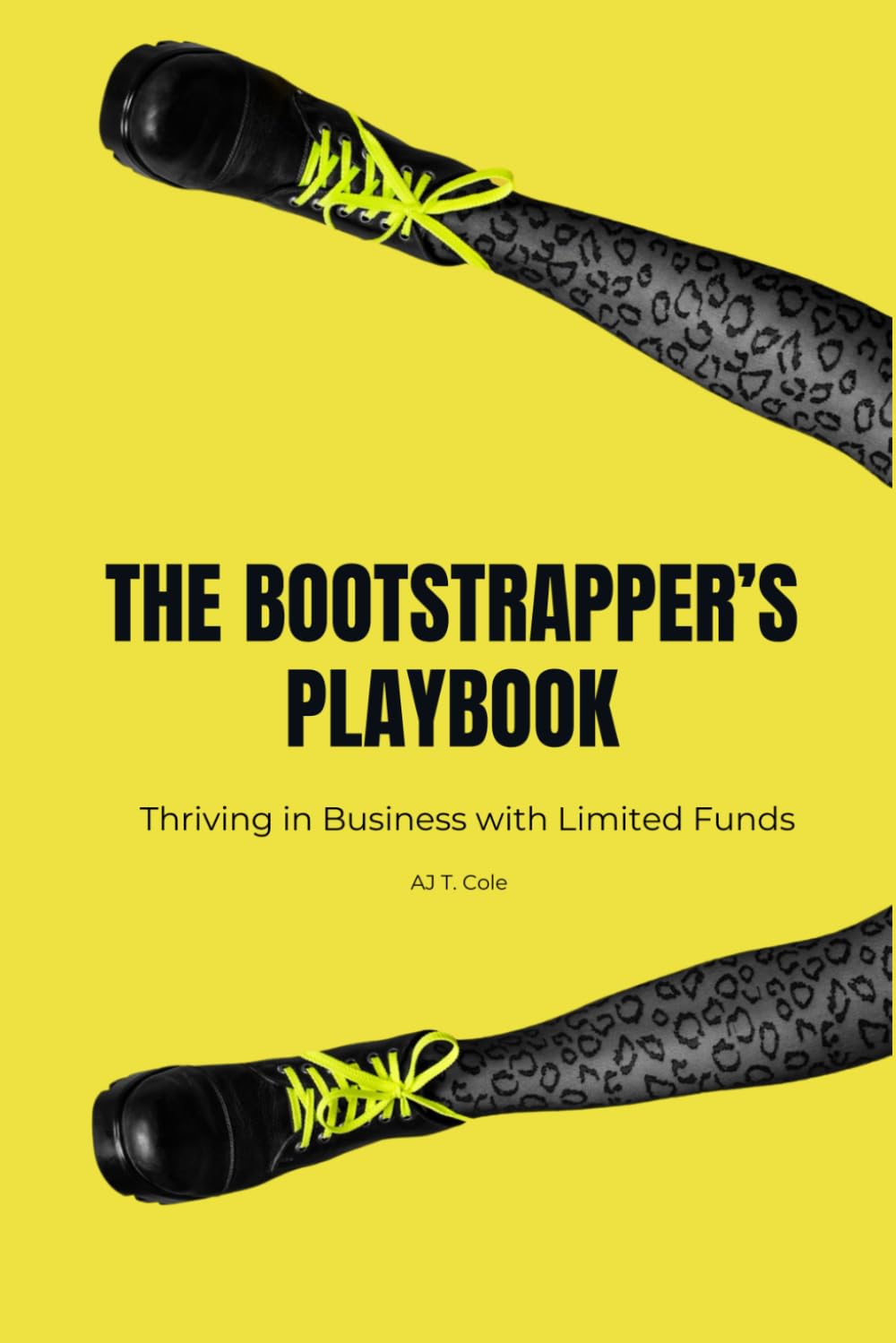 The Bootstrapper's Playbook: Thriving in Business with Limited Funds